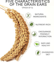 Niteangel harvest wind dried flowers and sprays for hamsters gerbils mice and other small animals