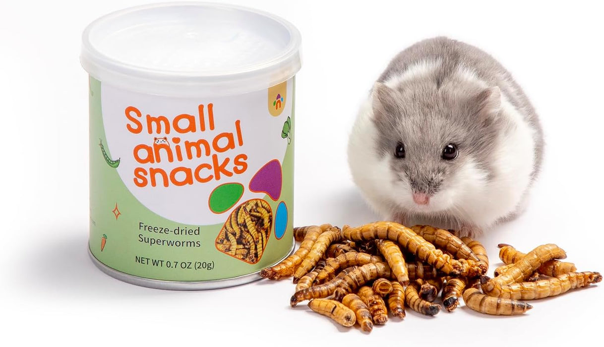 Niteangel Hamster Snack & Treats Toy - Small Animal Natural Treat for Dwarf Syrian Robo Hamsters Gerbils Mice Lemmings Degus or Other Small-Sized Pets