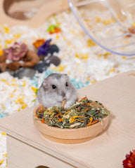 Niteangel Hamster Food & Treats Toy - Small Animal Natural Food for Syrian Golden Hamsters or Other Small-Sized Pets