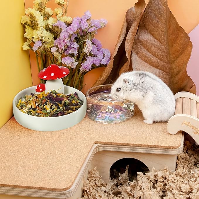 Niteangel Ceramic Hamster Habitat Hideout (Mushroom-Shaped Feeding & Water Bowls)