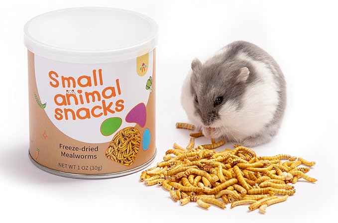 Niteangel Hamster Snack & Treats Toy - Small Animal Natural Treat for Dwarf Syrian Robo Hamsters Gerbils Mice Lemmings Degus or Other Small-Sized Pets