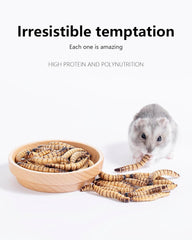 Niteangel Hamster Snack Toy - Natural treats for small animals for dwarf Syria robot hamsters, gerbils, rats or other small pets