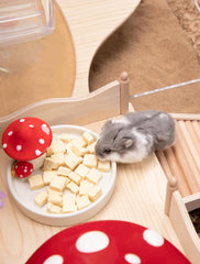 Niteangel Hamster Snack & Treats Toy - Small Animal Natural Treat for Dwarf Syrian Robo Hamsters Gerbils Mice Lemmings Degus or Other Small-Sized Pets
