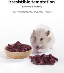 Niteangel Hamster Snack & Treats Toy - Small Animal Natural Treat for Dwarf Syrian Robo Hamsters Gerbils Mice Lemmings Degus or Other Small-Sized Pets
