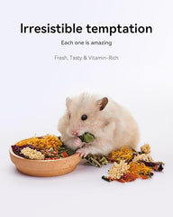 Niteangel Hamster Snack & Treats Toy - Small Animal Natural Treat Mix for Dwarf Syrian Robo Hamsters Gerbils Mice Lemmings Degus or Other Small-Sized Pets