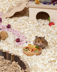 Niteangel Hamster Snack & Treats Toy - Small Animal Natural Treat for Dwarf Syrian Robo Hamsters Gerbils Mice Lemmings Degus or Other Small-Sized Pets