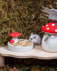 Niteangel Hamster Snack Toy - Natural treats for small animals for dwarf Syria robot hamsters, gerbils, rats or other small pets