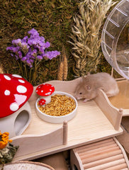 Niteangel Hamster Snack Toy - Natural treats for small animals for dwarf Syria robot hamsters, gerbils, rats or other small pets