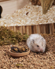 Niteangel Hamster Snack Toy - Natural treats for small animals for dwarf Syria robot hamsters, gerbils, rats or other small pets