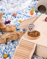 Niteangel Hamster Snack Toy - Natural treats for small animals for dwarf Syria robot hamsters, gerbils, rats or other small pets