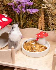 Niteangel Hamster Snack Toy - Natural treats for small animals for dwarf Syria robot hamsters, gerbils, rats or other small pets