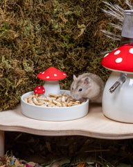 Niteangel Hamster Snack Toy - Natural treats for small animals for dwarf Syria robot hamsters, gerbils, rats or other small pets