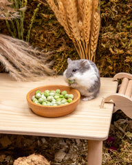 Niteangel Hamster Snack & Treats Toy - Small Animal Natural Treat for Dwarf Syrian Robo Hamsters Gerbils Mice Lemmings Degus or Other Small-Sized Pets