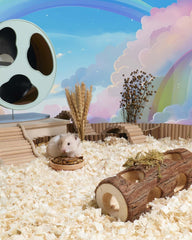 Niteangel Hamster Snack Toy - Natural treats for small animals for dwarf Syria robot hamsters, gerbils, rats or other small pets