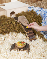 Niteangel Hamster Snack & Treats Toy - Small Animal Natural Treat for Dwarf Syrian Robo Hamsters Gerbils Mice Lemmings Degus or Other Small-Sized Pets