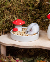 Niteangel Hamster Snack Toy - Natural treats for small animals for dwarf Syria robot hamsters, gerbils, rats or other small pets