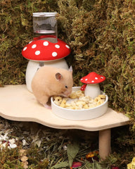 Niteangel Hamster Snack & Treats Toy - Small Animal Natural Treat Mix for Dwarf Syrian Robo Hamsters Gerbils Mice Lemmings Degus or Other Small-Sized Pets