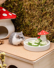 Niteangel Hamster Snack & Treats Toy - Small Animal Natural Treat for Dwarf Syrian Robo Hamsters Gerbils Mice Lemmings Degus or Other Small-Sized Pets