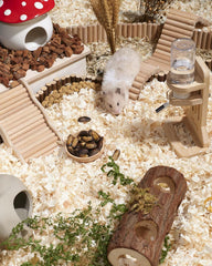 Niteangel Hamster Snack Toy - Natural treats for small animals for dwarf Syria robot hamsters, gerbils, rats or other small pets