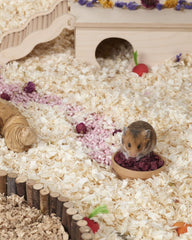 Niteangel Hamster Snack & Treats Toy - Small Animal Natural Treat for Dwarf Syrian Robo Hamsters Gerbils Mice Lemmings Degus or Other Small-Sized Pets