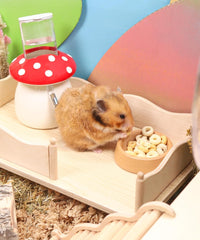 Niteangel Hamster Snack & Treats Toy - Small Animal Natural Treat Mix for Dwarf Syrian Robo Hamsters Gerbils Mice Lemmings Degus or Other Small-Sized Pets
