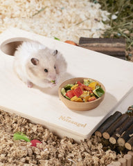 Niteangel Hamster Snack & Treats Toy - Small Animal Natural Treat for Dwarf Syrian Robo Hamsters Gerbils Mice Lemmings Degus or Other Small-Sized Pets