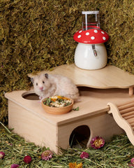 Niteangel Hamster Snack & Treats Toy - Small Animal Natural Treat Mix for Dwarf Syrian Robo Hamsters Gerbils Mice Lemmings Degus or Other Small-Sized Pets