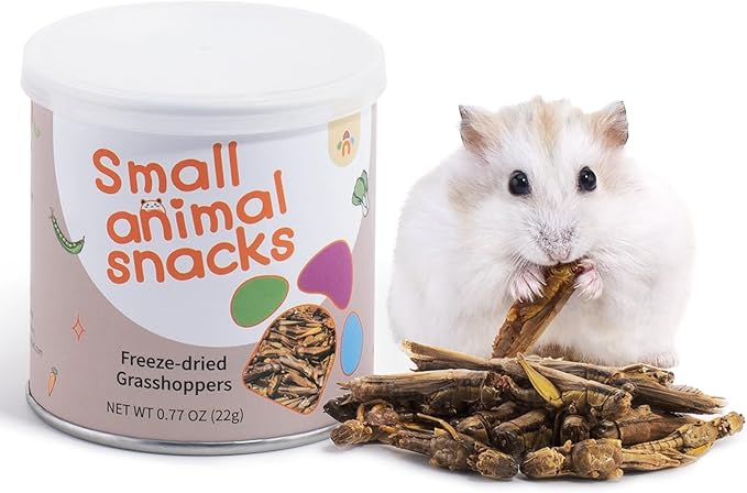 Niteangel Hamster Snack Toy - Natural treats for small animals for dwarf Syria robot hamsters, gerbils, rats or other small pets