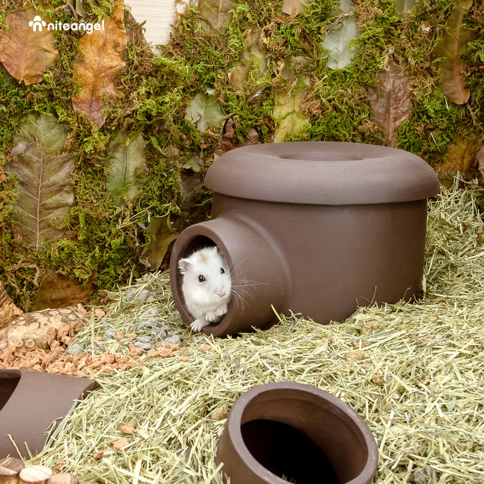 Niteangel Ceramic Hamster Tunnel & Tubes Hideout: for Dwarf Robo Syrian Hamsters Mice Rats or Other Small Animals