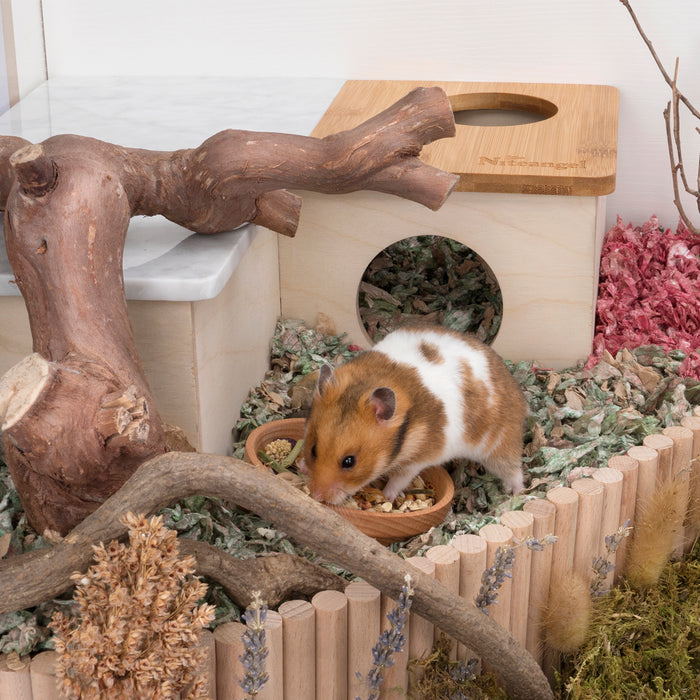 Niteangel Natural Wooden Food Source for Hamsters Beech Wood Bowl