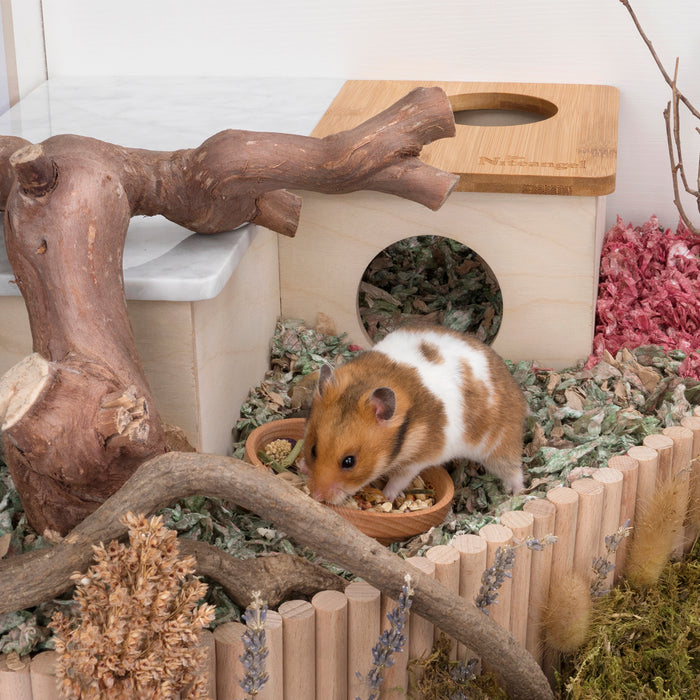 Niteangel Natural Wooden Food Source for Hamsters Beech Wood Bowl