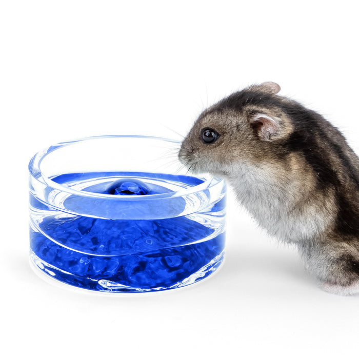 Niteangel Hamster Feeding & Water Bowls - Small Animal Glass Drinking Bowls for Dwarf Syrian Hamsters Gerbils Mice Rats or Other Similar-Sized Small Pets