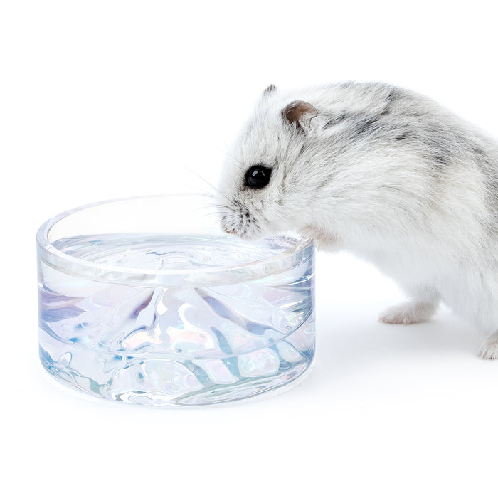 Niteangel Hamster Feeding & Water Bowls - Small Animal Glass Drinking Bowls for Dwarf Syrian Hamsters Gerbils Mice Rats or Other Similar-Sized Small Pets