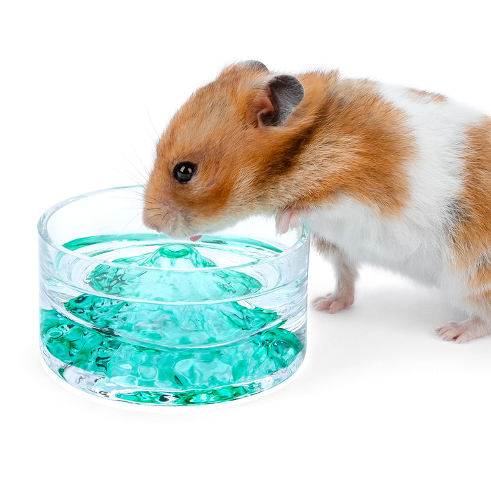 Niteangel Hamster Feeding & Water Bowls - Small Animal Glass Drinking Bowls for Dwarf Syrian Hamsters Gerbils Mice Rats or Other Similar-Sized Small Pets