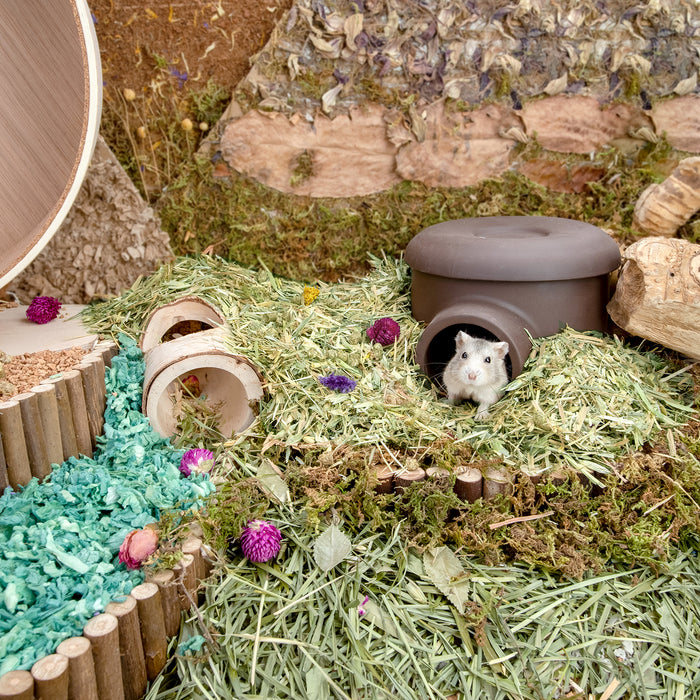 Niteangel Natural & Soft Hamster Bedding for Syrian Dwarf Hamsters or Other Small-Sized Pet