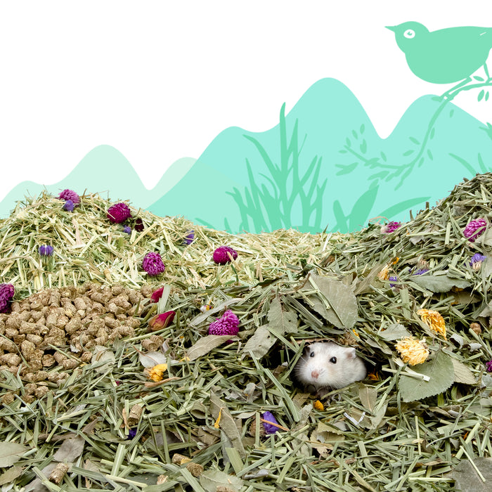 Niteangel Natural & Soft Hamster Bedding for Syrian Dwarf Hamsters or Other Small-Sized Pet