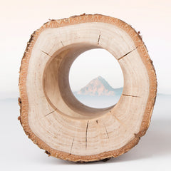 Niteangel Natural Birch Hideout with Tree Holes for Syrian and Dwarf Hamster