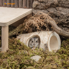 Niteangel Natural Birch Hideout with Tree Holes for Syrian and Dwarf Hamster