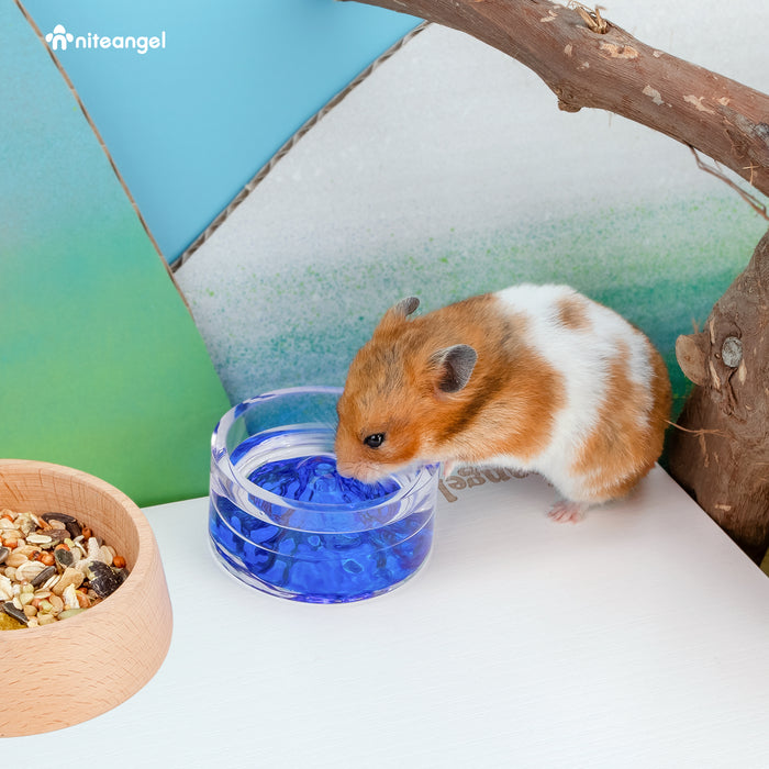 Niteangel Hamster Feeding & Water Bowls - Small Animal Glass Drinking Bowls for Dwarf Syrian Hamsters Gerbils Mice Rats or Other Similar-Sized Small Pets