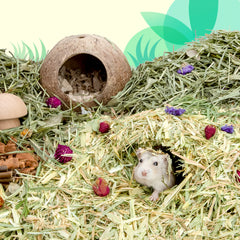 Niteangel Natural & Soft Hamster Bedding for Syrian Dwarf Hamsters or Other Small-Sized Pet