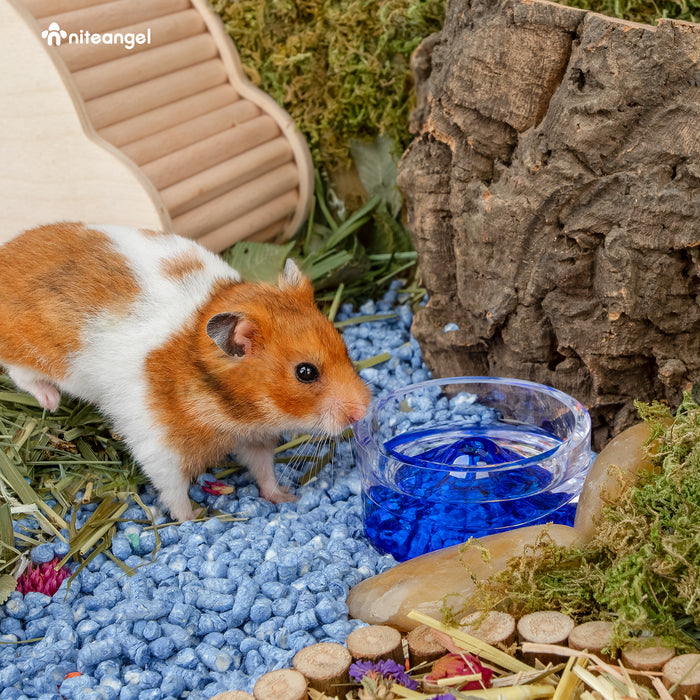 Niteangel Hamster Feeding & Water Bowls - Small Animal Glass Drinking Bowls for Dwarf Syrian Hamsters Gerbils Mice Rats or Other Similar-Sized Small Pets