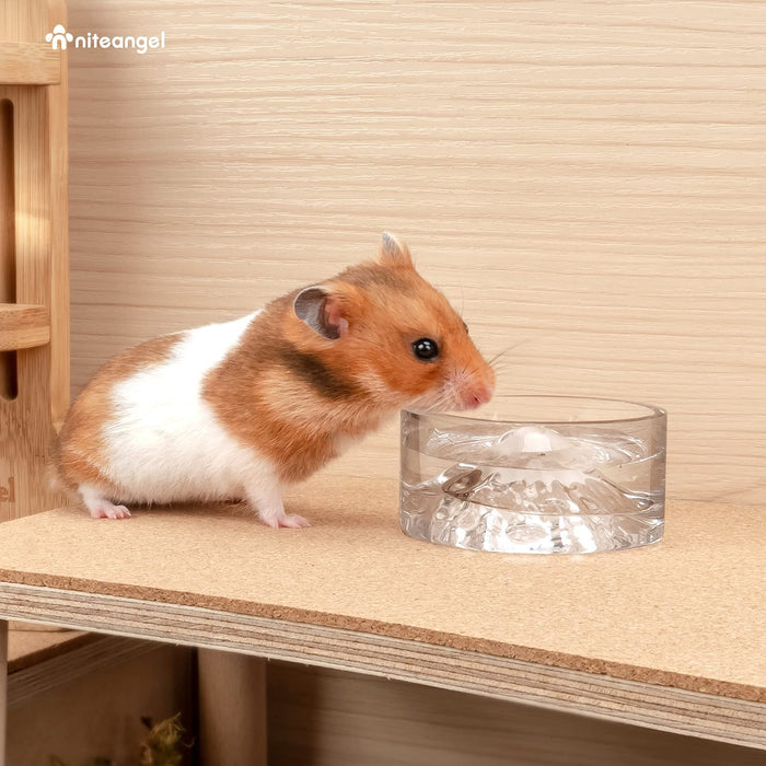 Niteangel Hamster Feeding & Water Bowls - Small Animal Glass Drinking Bowls for Dwarf Syrian Hamsters Gerbils Mice Rats or Other Similar-Sized Small Pets