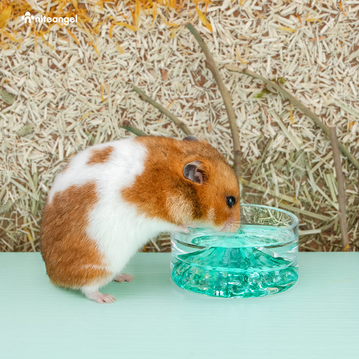 Niteangel Hamster Feeding & Water Bowls - Small Animal Glass Drinking Bowls for Dwarf Syrian Hamsters Gerbils Mice Rats or Other Similar-Sized Small Pets