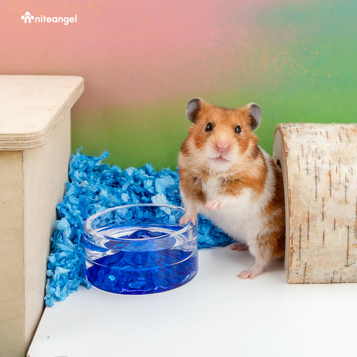 Niteangel Hamster Feeding & Water Bowls - Small Animal Glass Drinking Bowls for Dwarf Syrian Hamsters Gerbils Mice Rats or Other Similar-Sized Small Pets