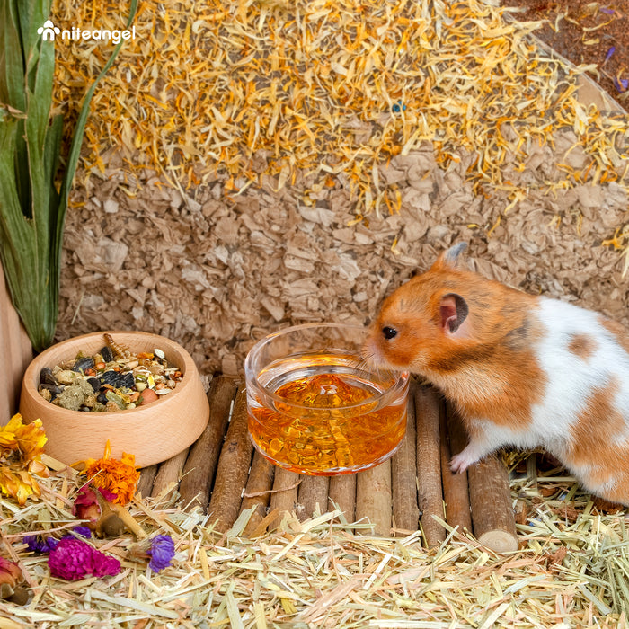 Niteangel Hamster Feeding & Water Bowls - Small Animal Glass Drinking Bowls for Dwarf Syrian Hamsters Gerbils Mice Rats or Other Similar-Sized Small Pets