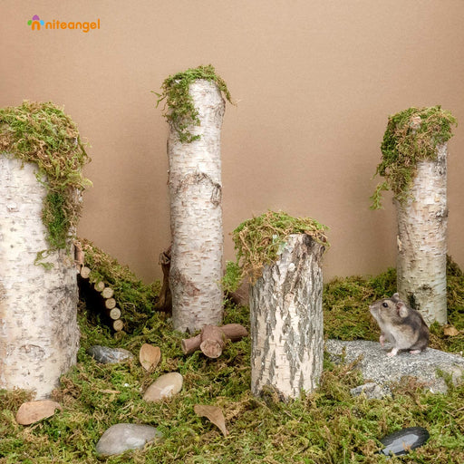 Niteangel Forest Moss Soft Natural Moss Bedding Nesting for Small Pet