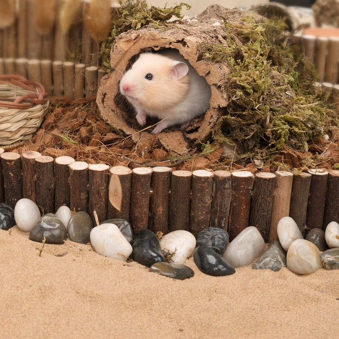 Natural Wood Bridge for Syrian and Dwarf Hamsters Flexible Fencing