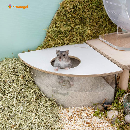 Niteangel Small Animal Sand-Bath Box - Acrylic Critter's Sand Bath Shower Room & Digging Sand Container for Hamsters Mice Lemming Gerbils or Other Small Pets