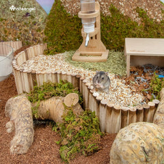 Niteangel Small Animal Climbing Toys - Suspension Bridge Ladder for Hamsters Gerbils Mice Rats Guinea Pigs or Other Small Pets