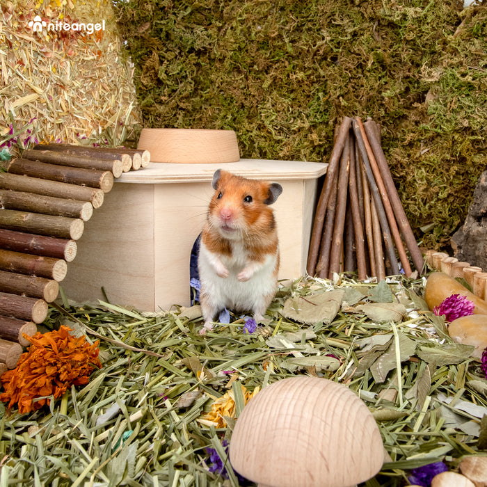 Niteangel Hamster House for Hamsters Gerbils Mice or Similar-Sized Pets (Triangle-Shaped Hamster Hut)